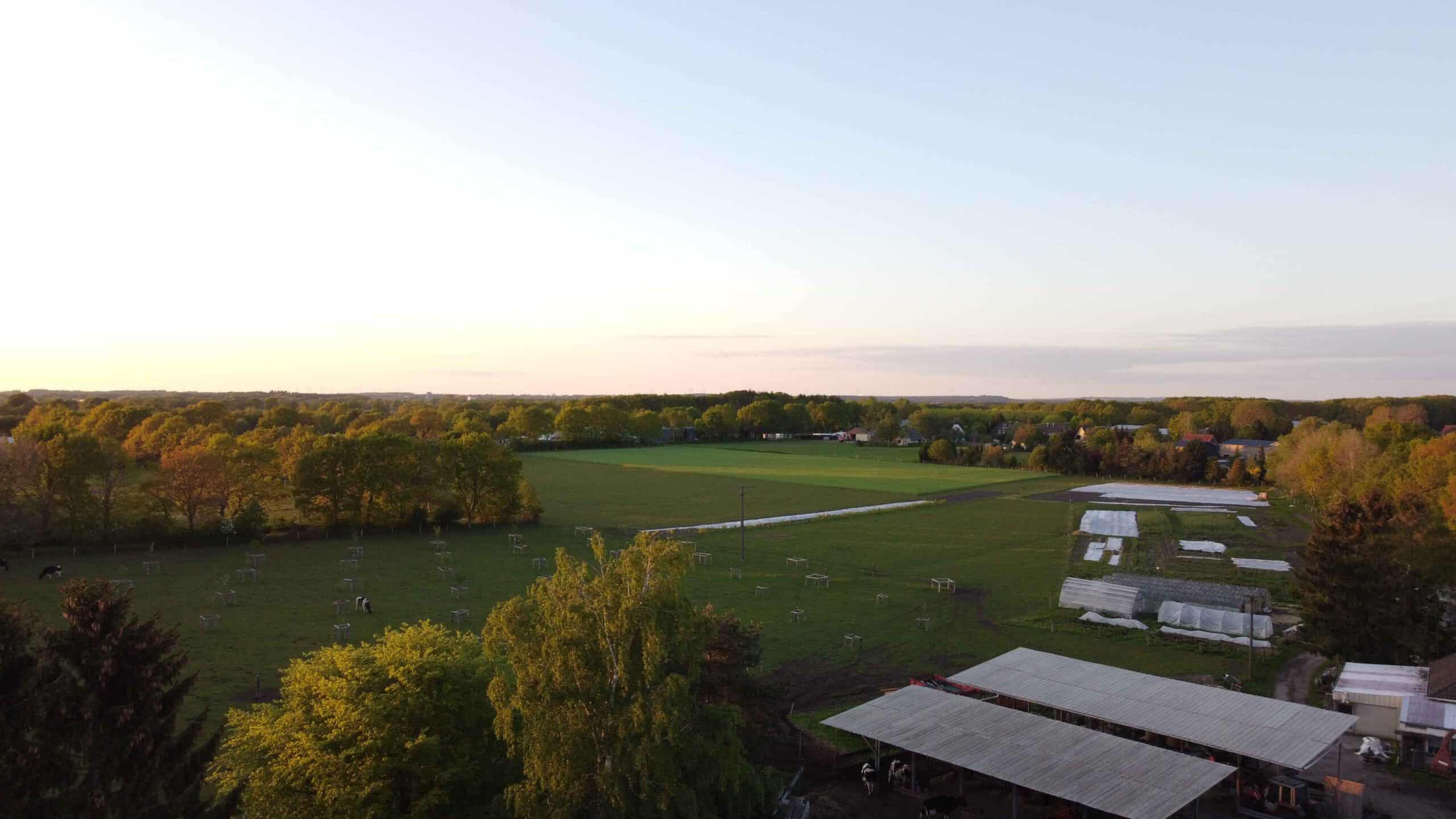 Luftaufnahme eines landwirtschaftlichen Grundstücks mit grünen Feldern, Bäumen und Gewächshäusern im Vordergrund. Im Hintergrund sind Häuser und weitere Bäume zu sehen. Die Sonne geht gerade unter und erzeugt ein sanftes Licht. Einige Kühe grasen auf dem Feld.